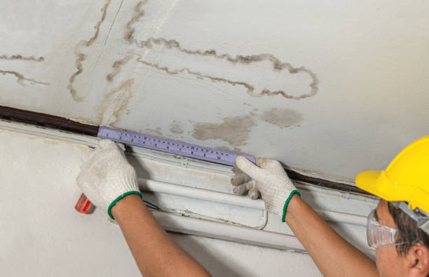 Reliable Flood Cleanup contractor in South Lyon, MI by Water Damage Irwin